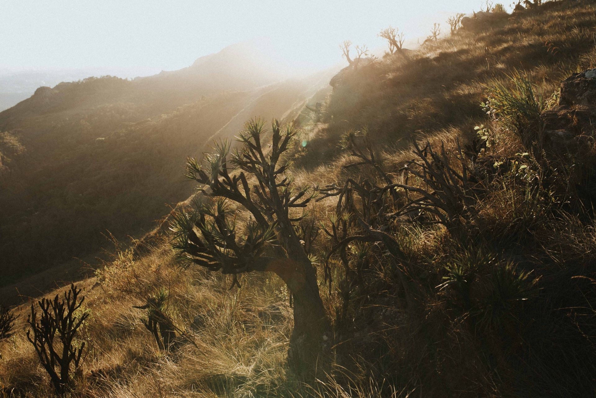 Foto Marcela e Daniel!  - Imagem 49