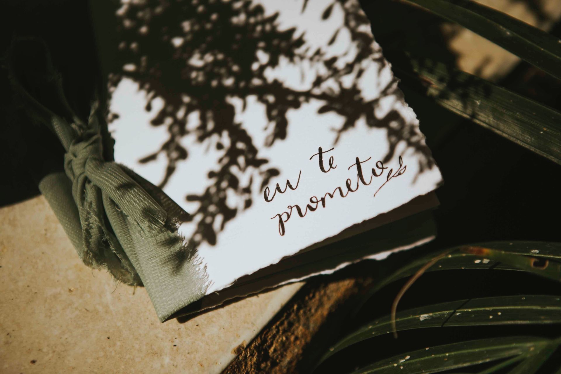 Foto Casamento Fran e Ed! - Imagem 0