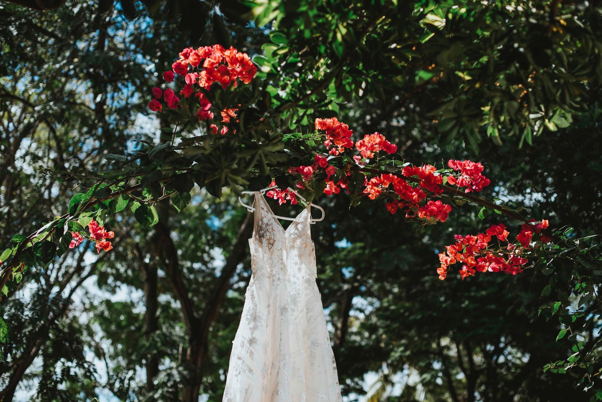 Foto Casamento Fran e Ed! - Imagem 38