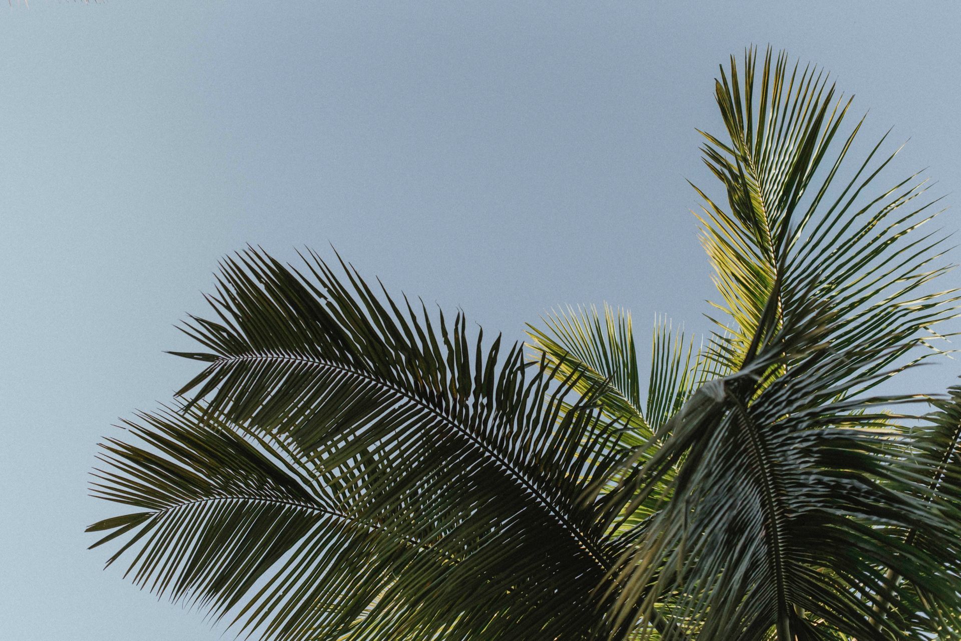 Foto Casamento Fran e Ed! - Imagem 31